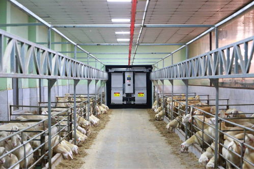 農業“雙強”行動結碩果，浙江農業生產更高效，集裝箱租賃助力產業升級